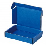 Коробка антистатическая 250x191x38 мм  арт. 5510.904